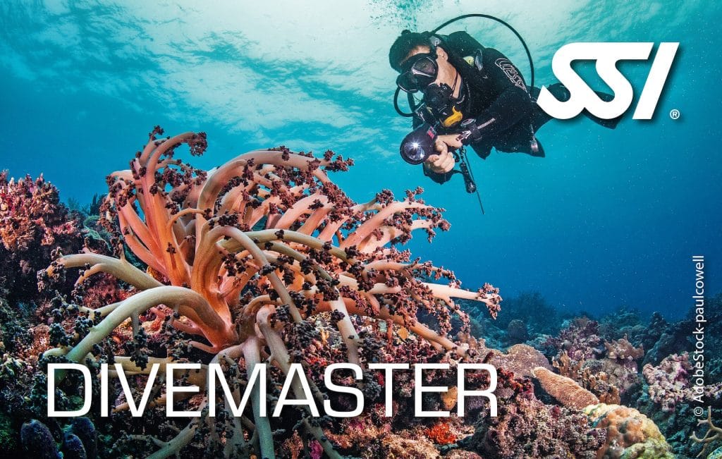SSI Divemaster Certification Card