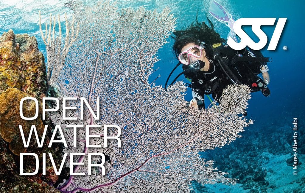 SSI Open Water Diver Certification Card