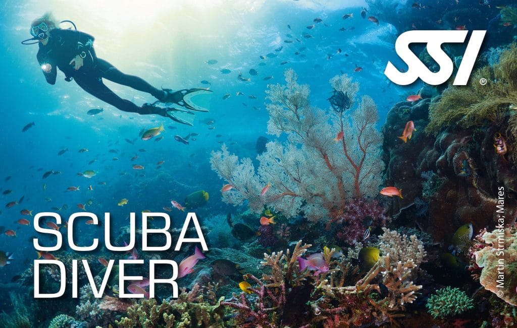 SSI Scuba Diver Course in Nusa Penida