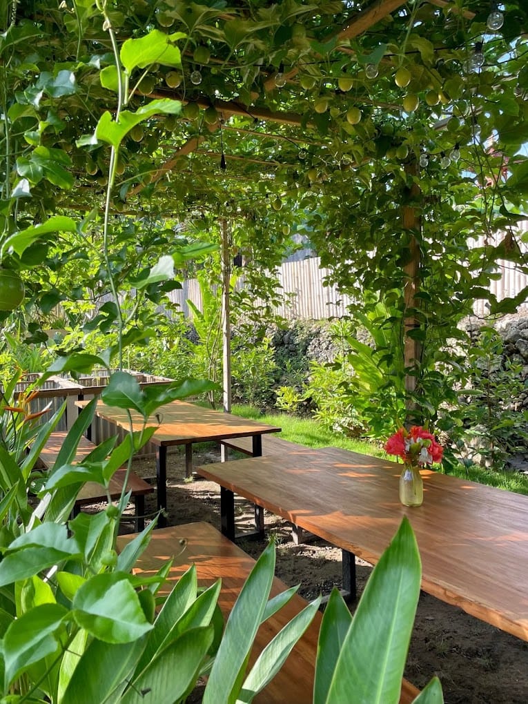 Two benches at our Dive & Stay in Nusa Penida with a passion fruit trellis overhanging